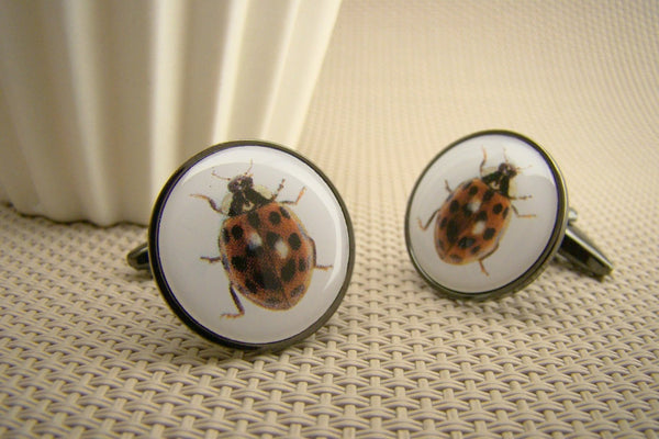 Manchetknopen Lieveheersbeestje - Kapoentje