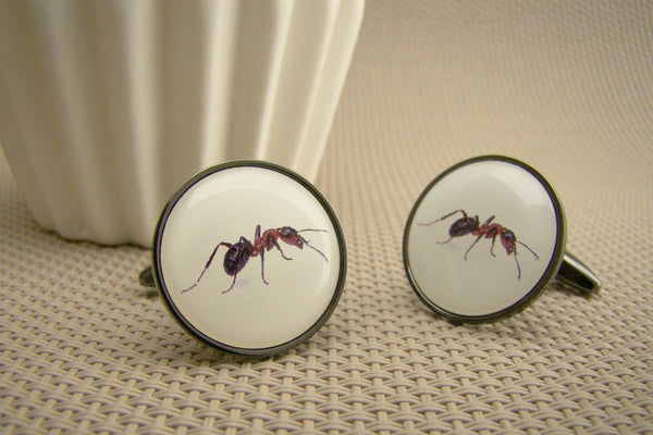 Manchetknopen Mier